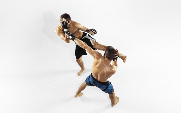 two-professional-mma-fighters-boxing-isolated-white-studio_155003-16945
